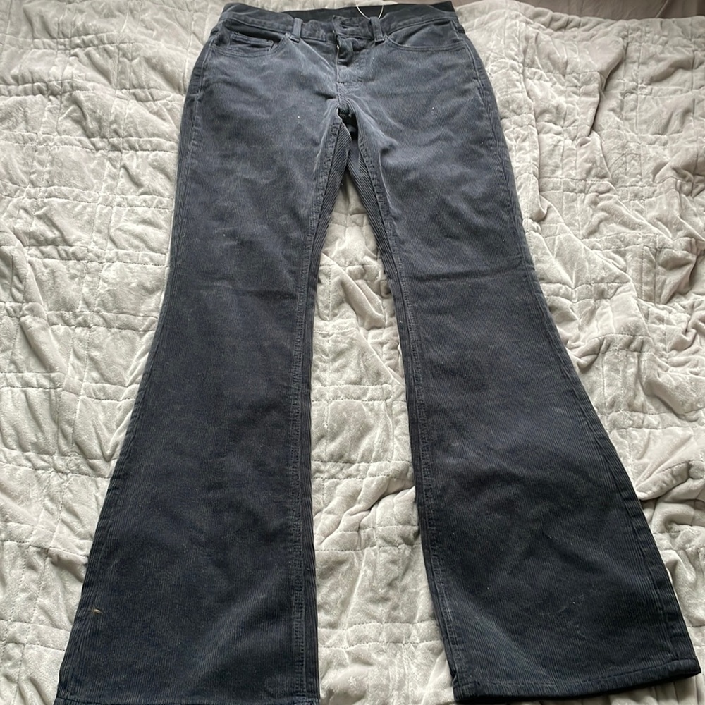 John Galt / Brandy Melville corduroy navy flat pants.  Fits size small.